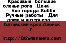 Красивые  большие оленьи рога › Цена ­ 3 000 - Все города Хобби. Ручные работы » Для дома и интерьера   . Алтайский край,Алейск г.